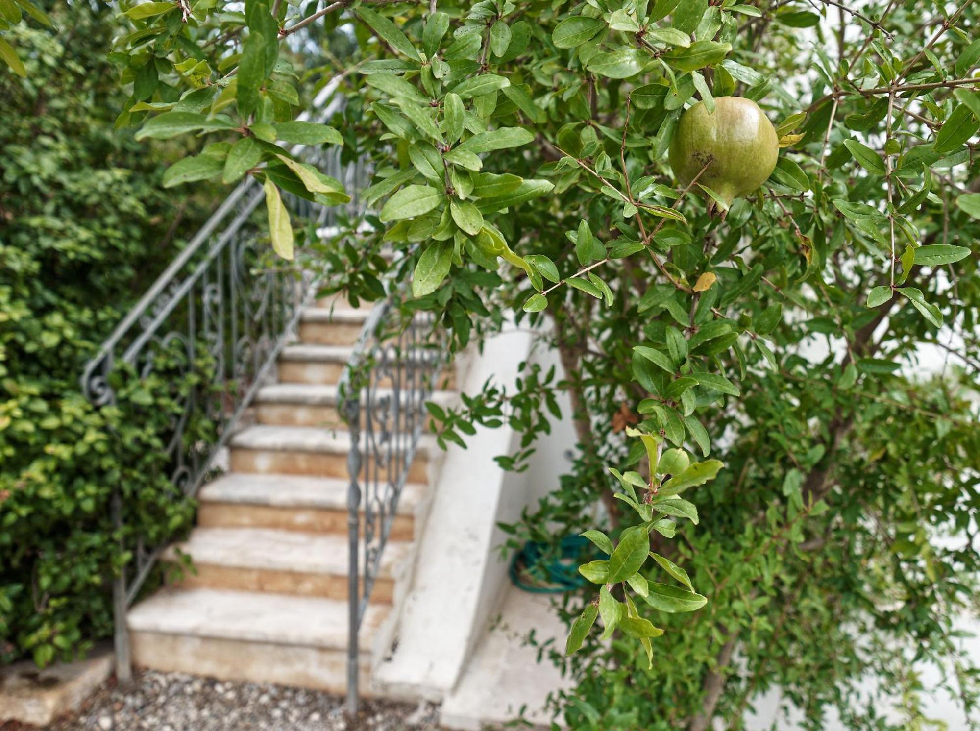 Torre Marinella Casa de hóspedes Ostuni Exterior foto