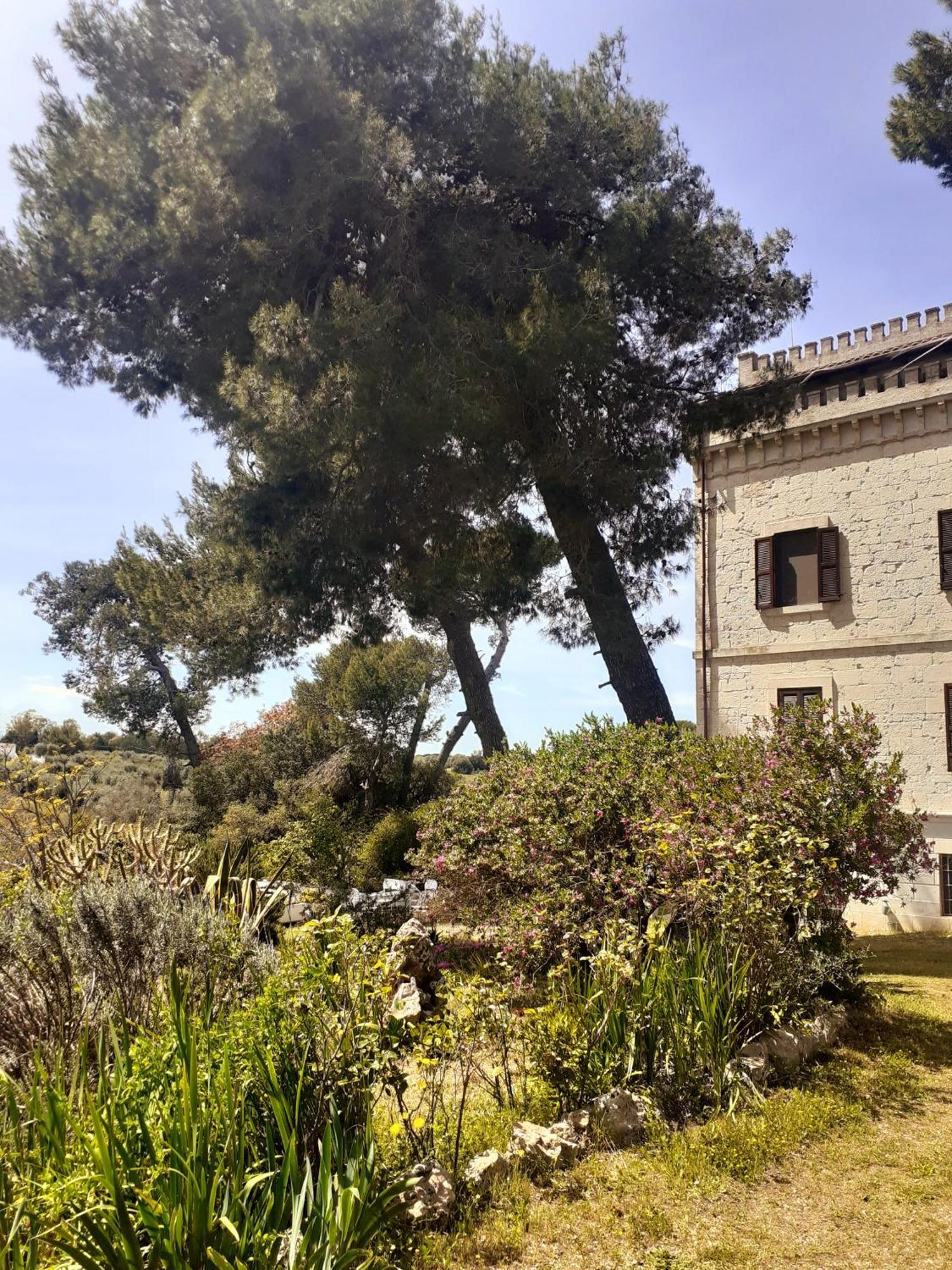 Torre Marinella Casa de hóspedes Ostuni Exterior foto