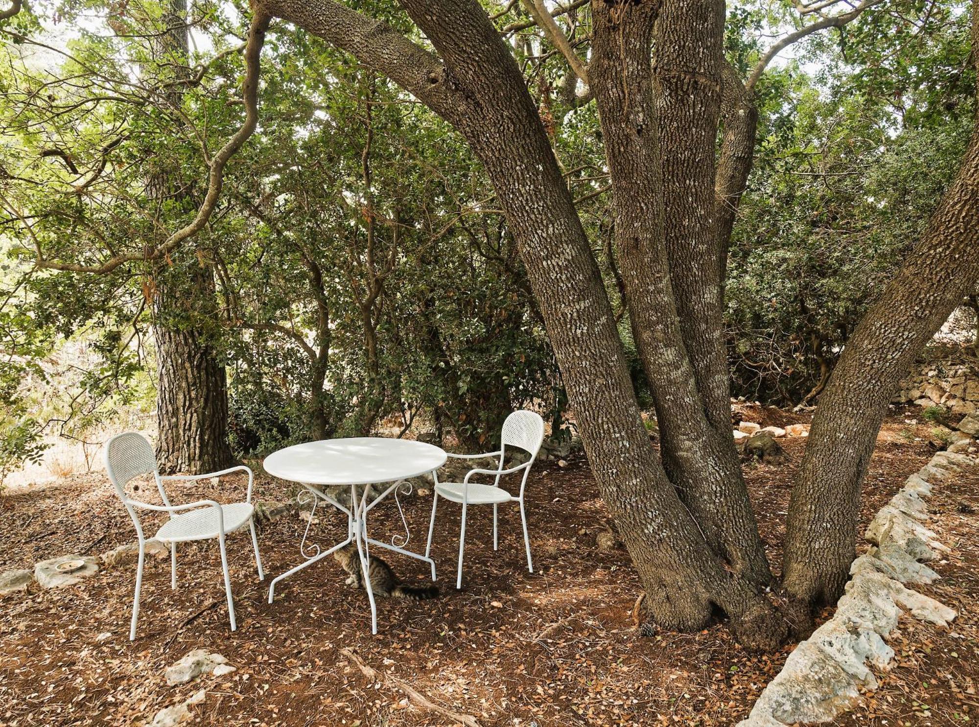 Torre Marinella Casa de hóspedes Ostuni Exterior foto